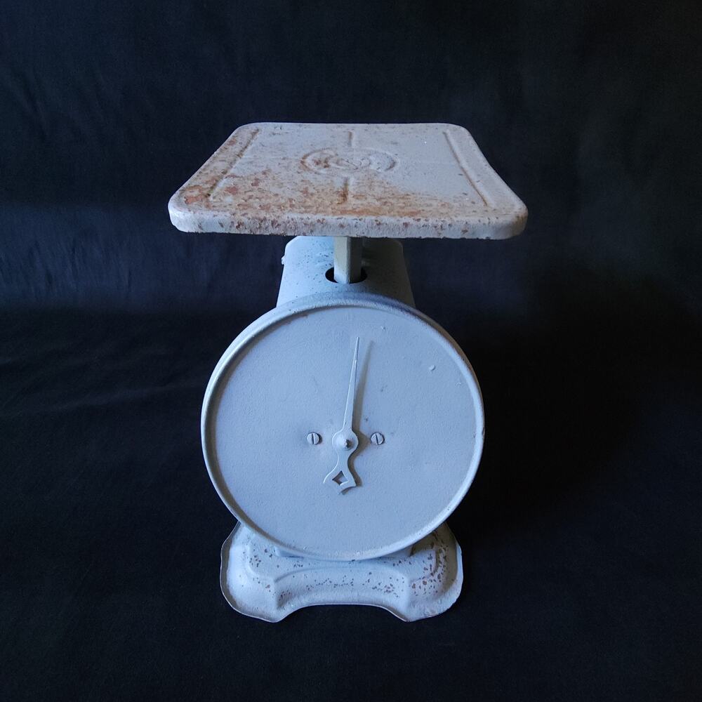 Vintage Columbia Family Kitchen Scale 24 Lb Landers Frary & Clark New Britain